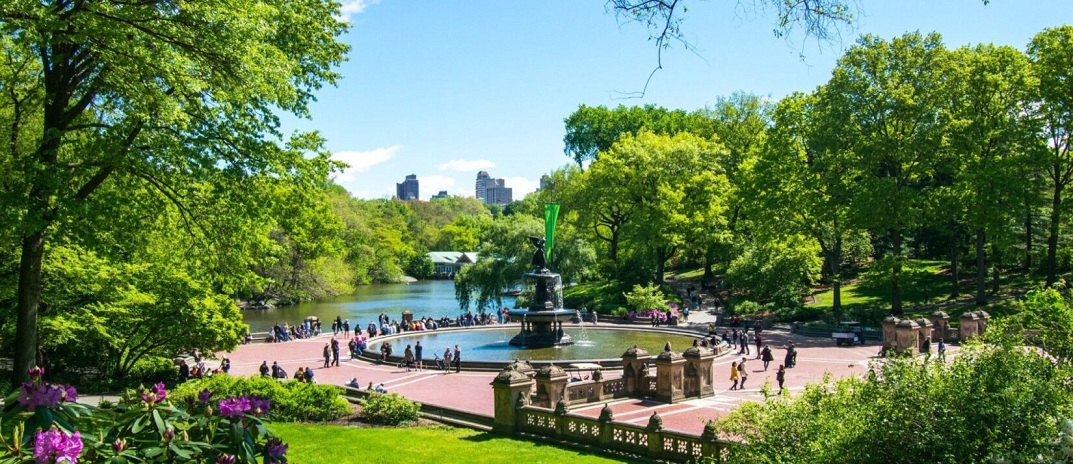 200 Central Park Captions And Quotes For Instagram 2023 Caption Swag