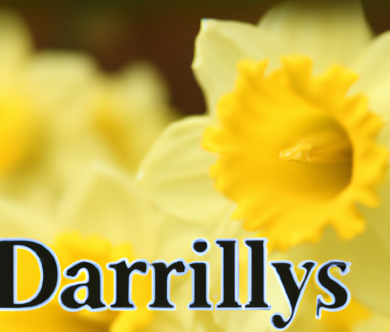 Daffodil Captions And Quotes For Instagram
