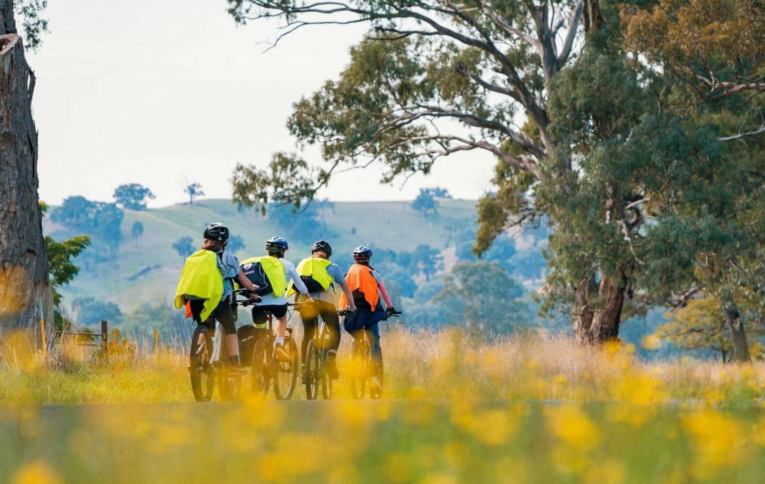 250+ Outdoor Captions And Quotes For Instagram in 2023 CAPTION SWAG