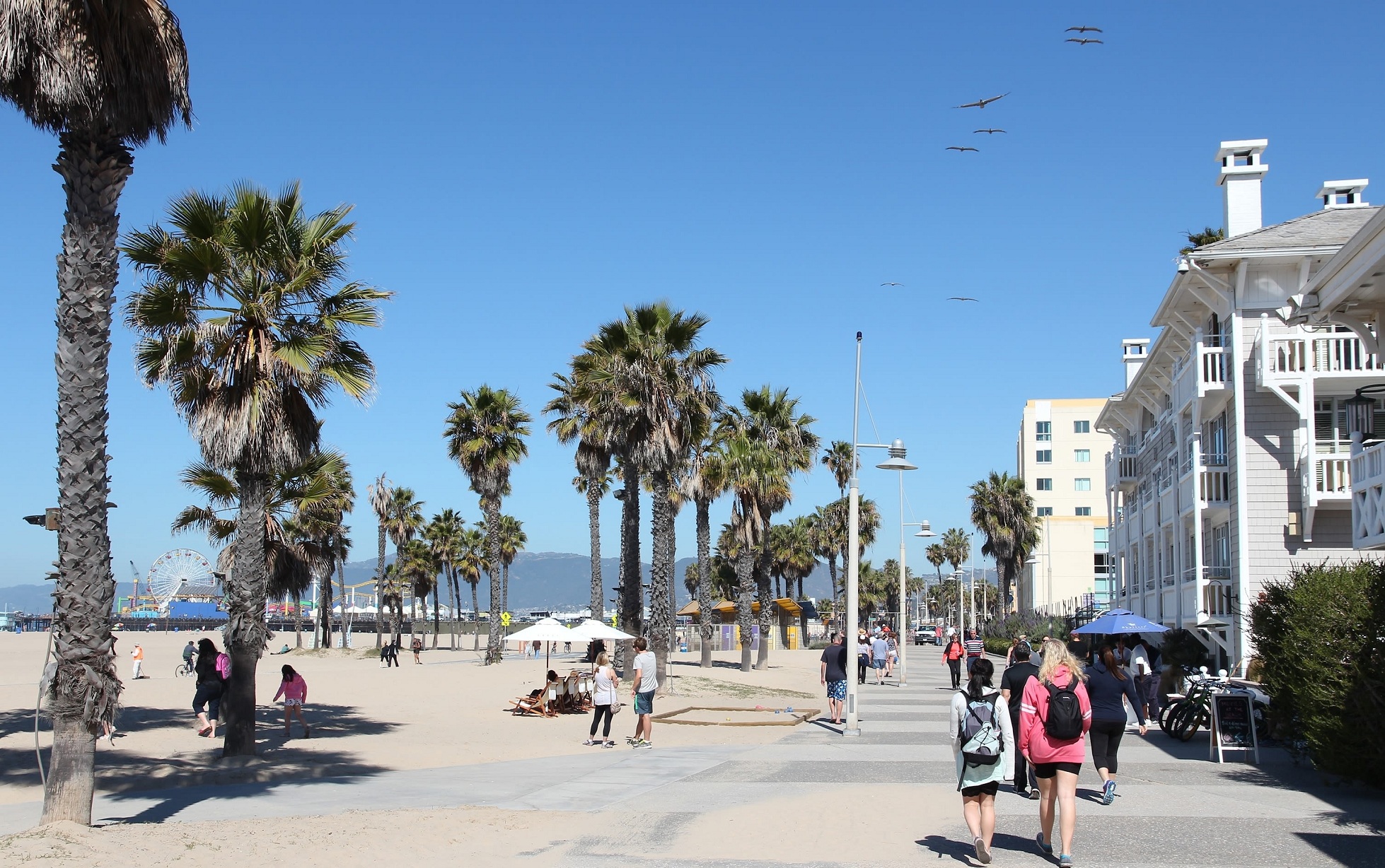 Santa Monica Captions and Quotes for Instagram