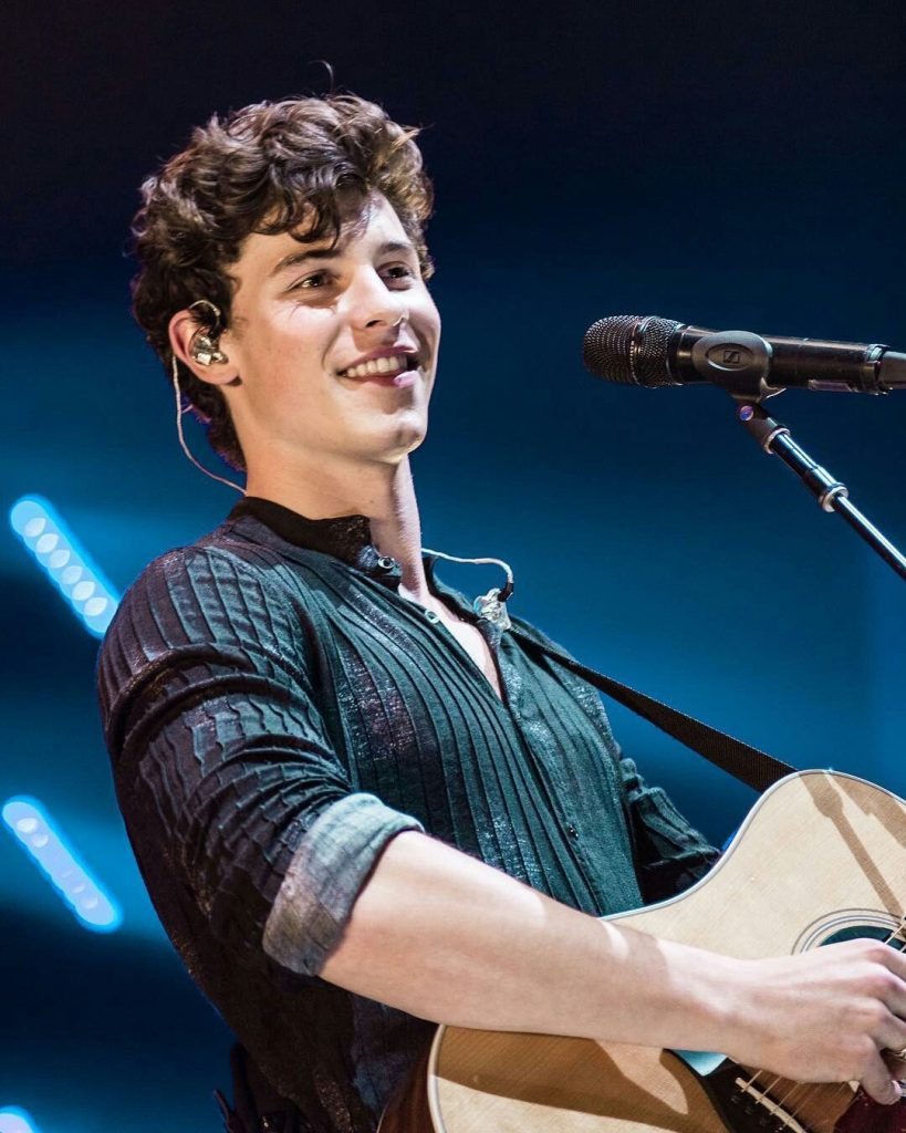 Shawn Mendes Lyrics Captions for Instagram